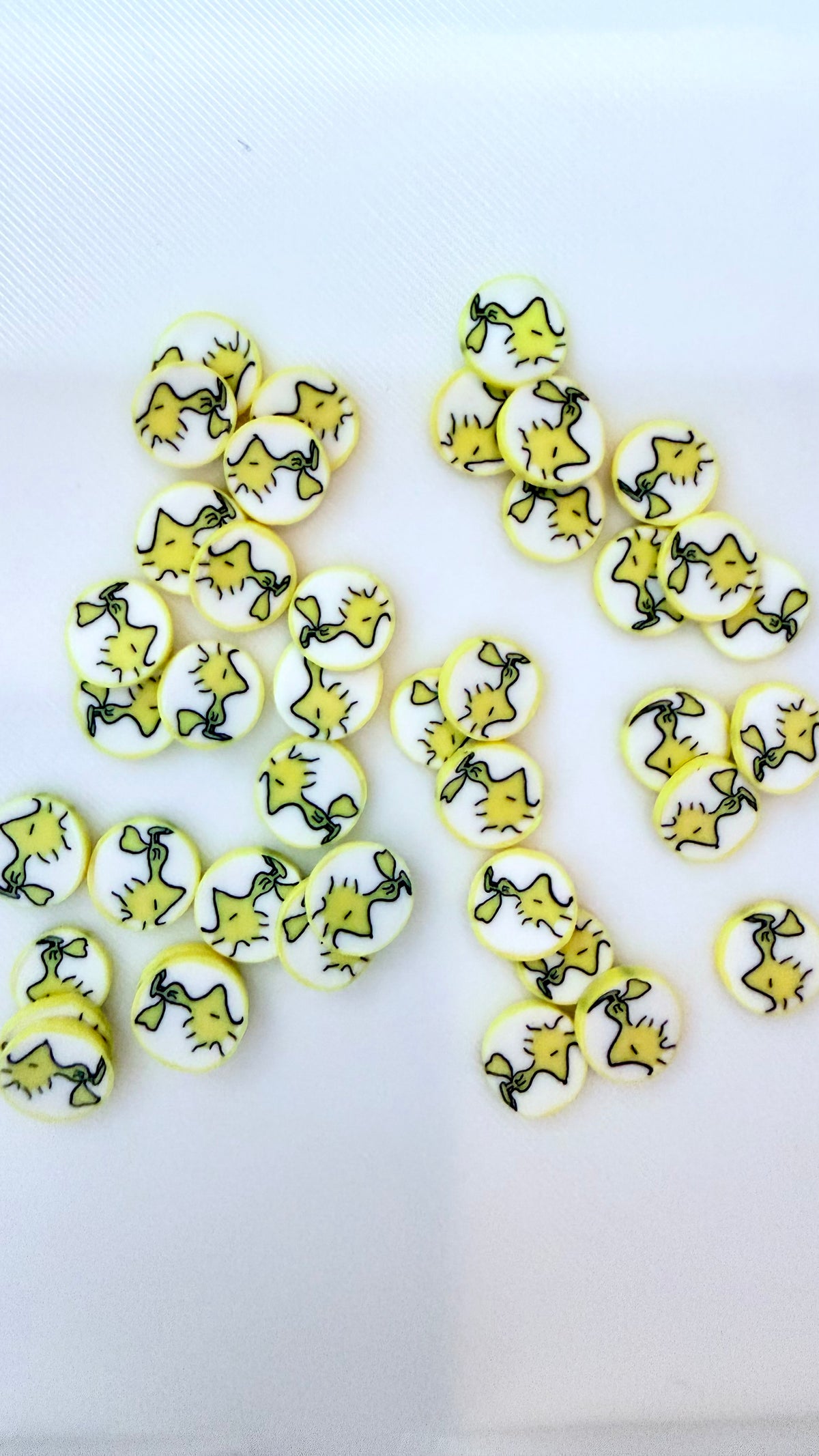Woodstock Polymer Clay Pieces
